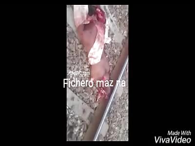 how beautiful was this year (happy year motherfuckers)