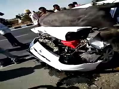 WTF THE COW IN THE CART CHEST