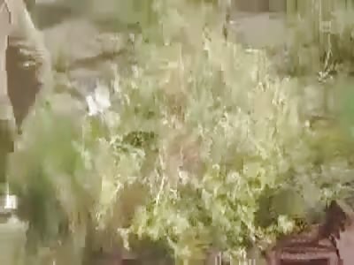 SOLDIERS ARE FOLDED AND ARE DRAGGED BY THE FIELD