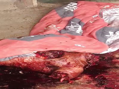 Remains of Dismembered and Decapitated Man Found in Brazil