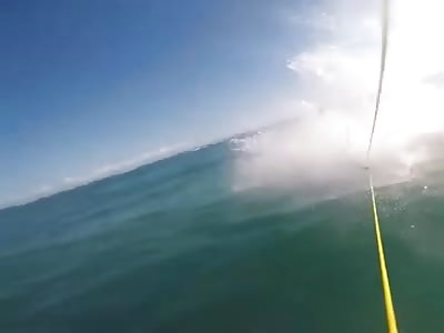 SURFER CHOCA AGAINST SHARK