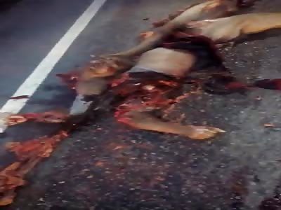 Man Run over by Something Heavy is Nothing but Guts Now