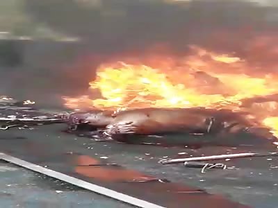 Ricardo Boechat: Brazil News Anchor Dies in Helicopter Crash