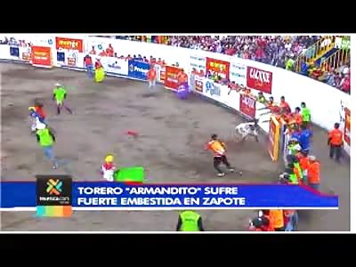 EMBEDDED BY THE TORO