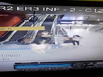 IMBÃ‰CIL FALLS ON THE STAIRS