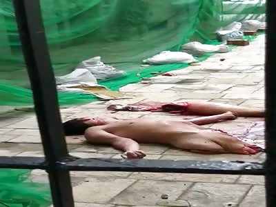 Suicide Jumper Falls to Pieces...