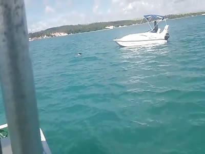 Pair of Floating Buttocks Emerges from Sea