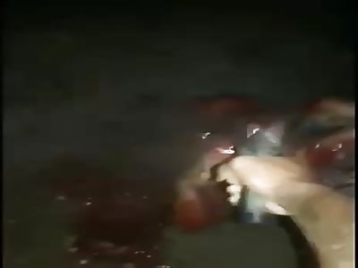 NEW: BRUTAL EXECUTION IN BRAZIL