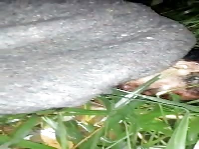 HITTED MAN SLEEPS QUIETLY