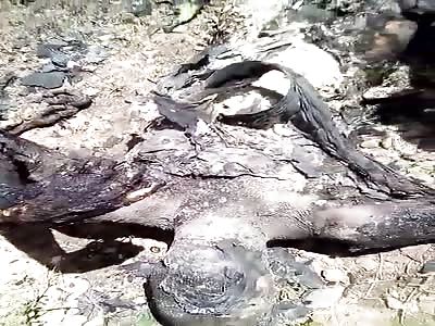 Cameroonian Men Slaughtered and Served to Authorities Extra Crispy