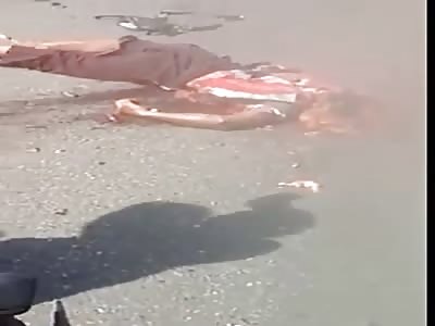 MADE SHIT ON THE ROAD