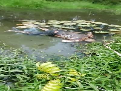 Body floating in water