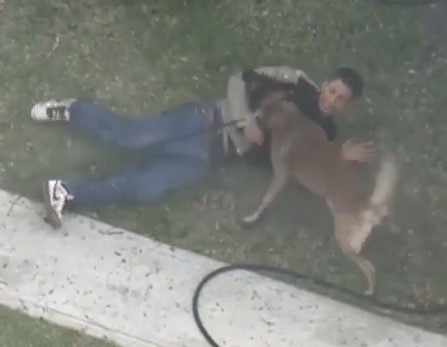 K9 Officer Takes Down Suspect In Signal Hill To End Standoff