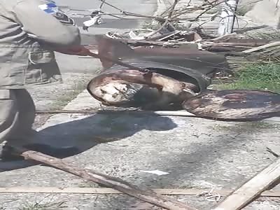 WTF: MAN IN GARBAGE TAMBO