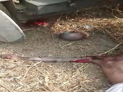Worker Mutilated by Machine..