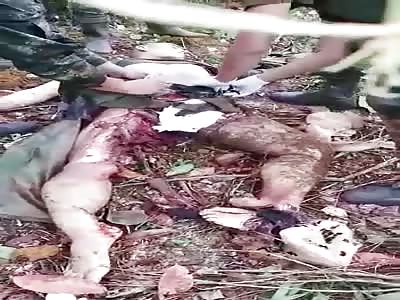 OUCH: Soldier Has His Leg Ripped to Shreds