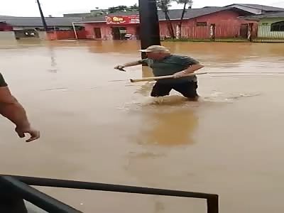 Darwin Award Winner of the Month