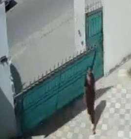 Woman Smashed Like a Bug by Falling Fence