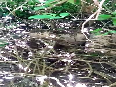 Body floating in water