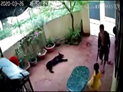 Good Boy Dog Defends Girl from Being Kidnapped