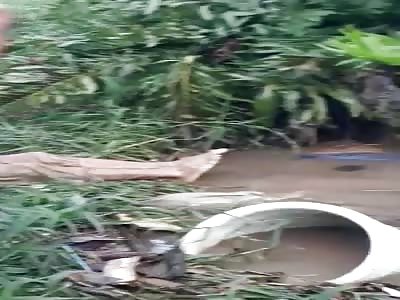 inert bodies in river are rescued