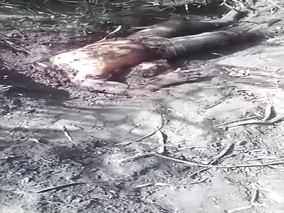 inert body without head