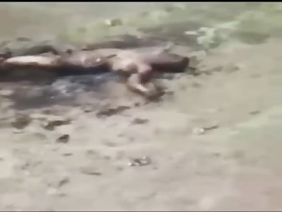 Roast to the fathoms