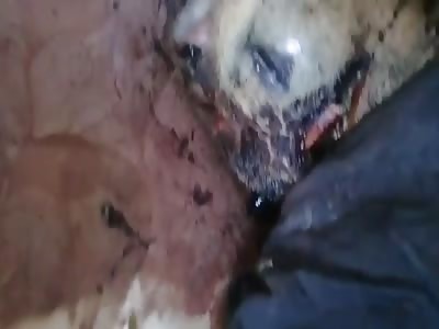 man brutally murdered with hammer