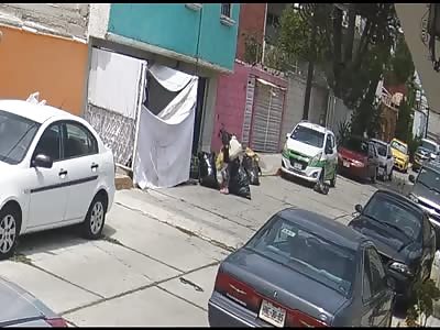 woman attacked by dogs