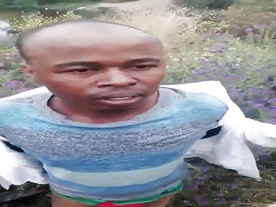 You will never steal nagain .