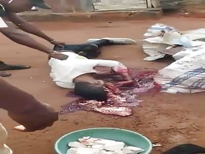 ! Thats Why You Need Helmet Â¡