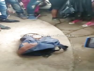 Surprise in the suitcase