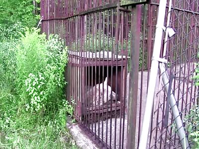 30 years in prison for no crime