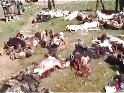 this will be the fate of all ISIS takfiri rats (part2)