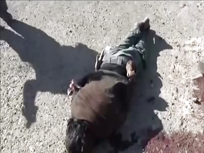 Dead Bodies Compilation