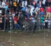 Someone to dance with me there?