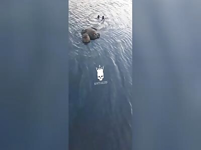 Dead Ukraine troops just peacefully floating