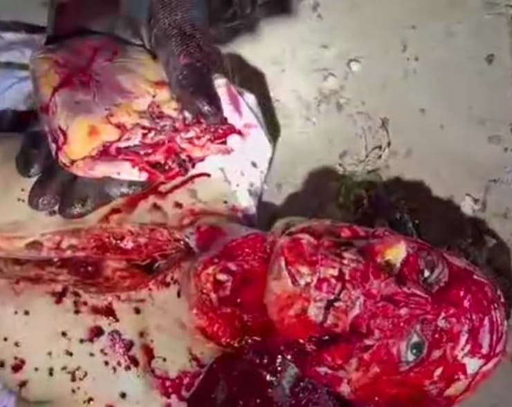 La Linea Member Butchered By CDN (Extended + Better Quality)