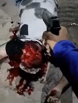 Gang Members Reach and Finish their Rival.