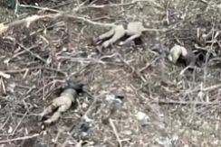 ORCs positions after AFU artillery strike