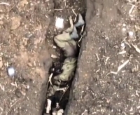 Ukrainian Drone Drops Grenade Into a ORC’s Lap