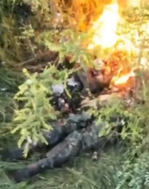 Cleaning the Russian Trash (COMPILATION)