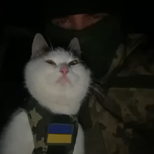 Ukraine Death Comp XV