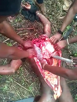 These Fucking Haitians Love Dismembering Their Rivals