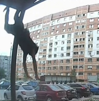 Worker Tragically Fell From 6th Floor Building