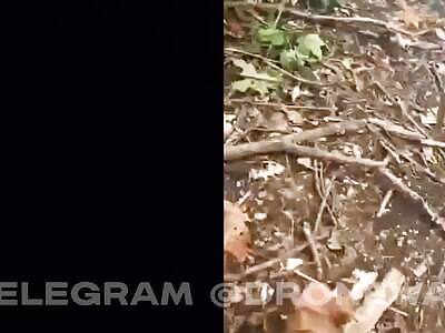 Two angles of UKR counter offensive