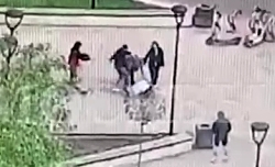 Two drunk immigrants brutally attacked and beat young people