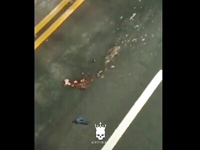 F.V..A Brazil ran from the police & committed suicide from the bridge.