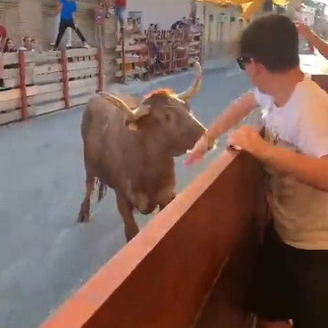 Play Stupid Games With A Bull = Death