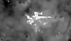 Edelweiss helping ORCs to eternal sleep (full)